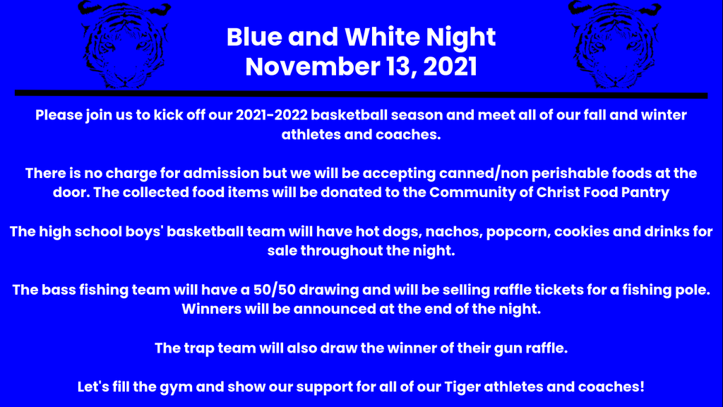 blue and white night